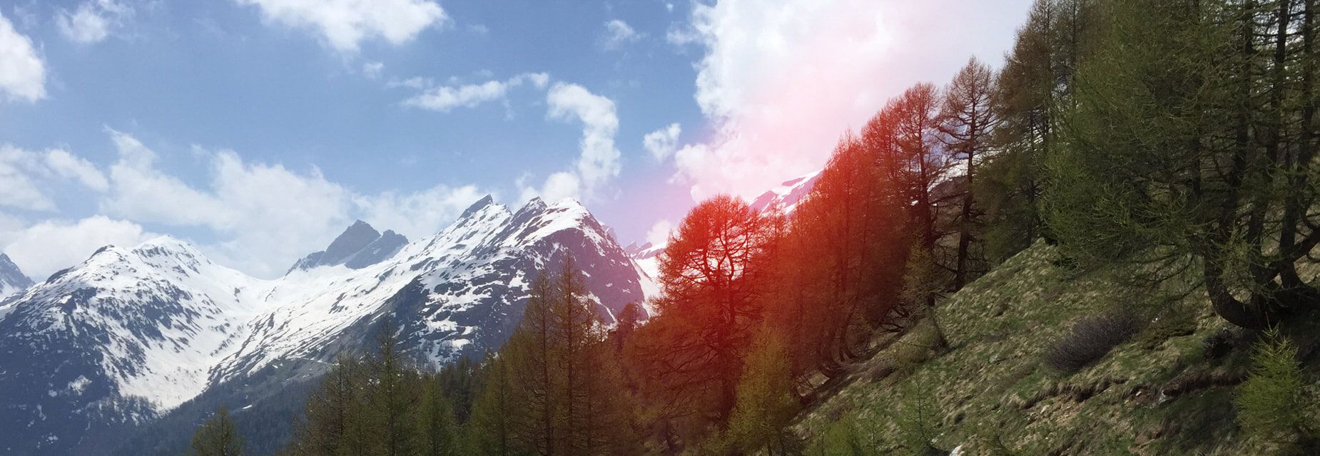 Gebirge und Wald